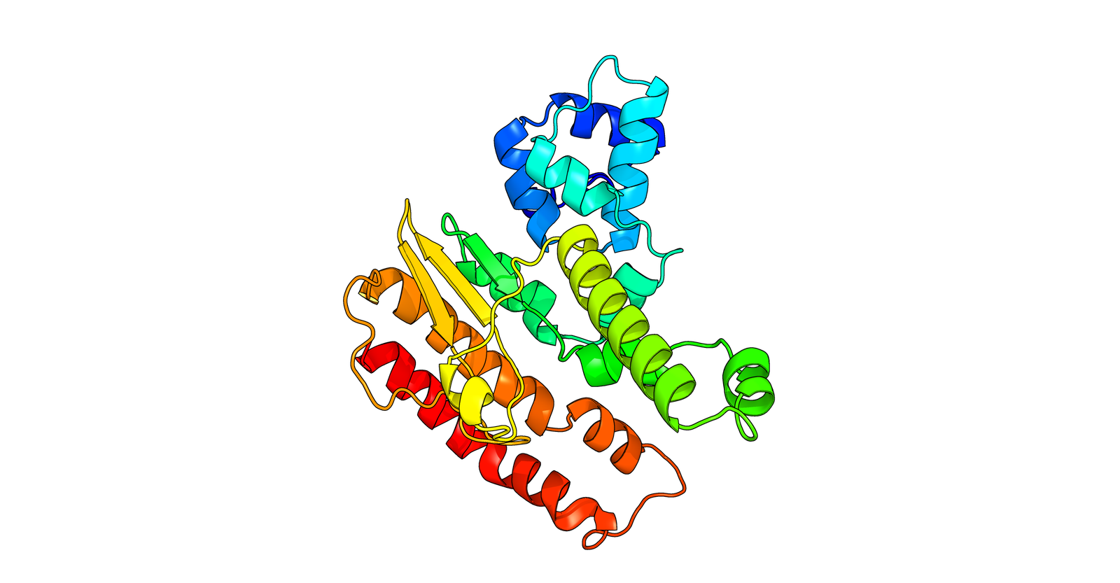 Protein Structure 1